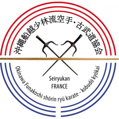 Logo seiryukan france 2 moy